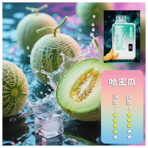 SP2S思博瑞電子煙一次性拋棄式GEM9000口【哈密瓜】