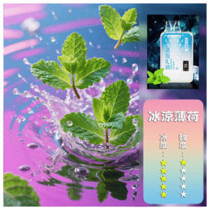 SP2S思博瑞電子煙一次性拋棄式GEM9000口【冰涼薄荷】